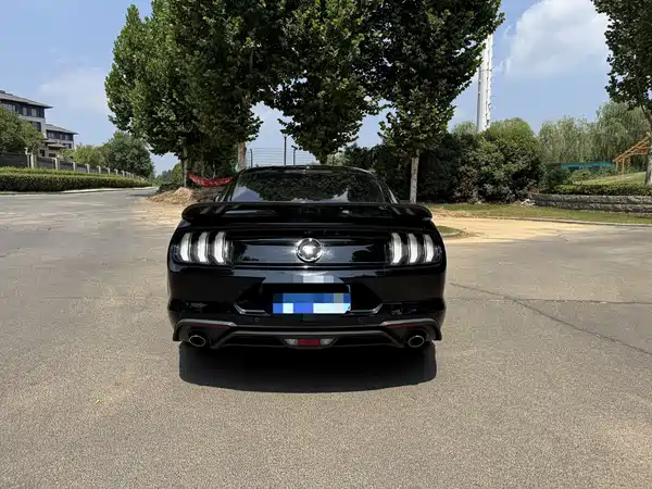 Ford Mustang 2019