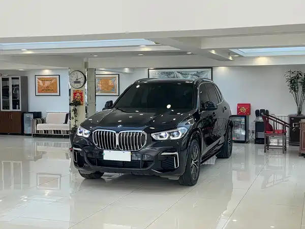 BMW X5 2022