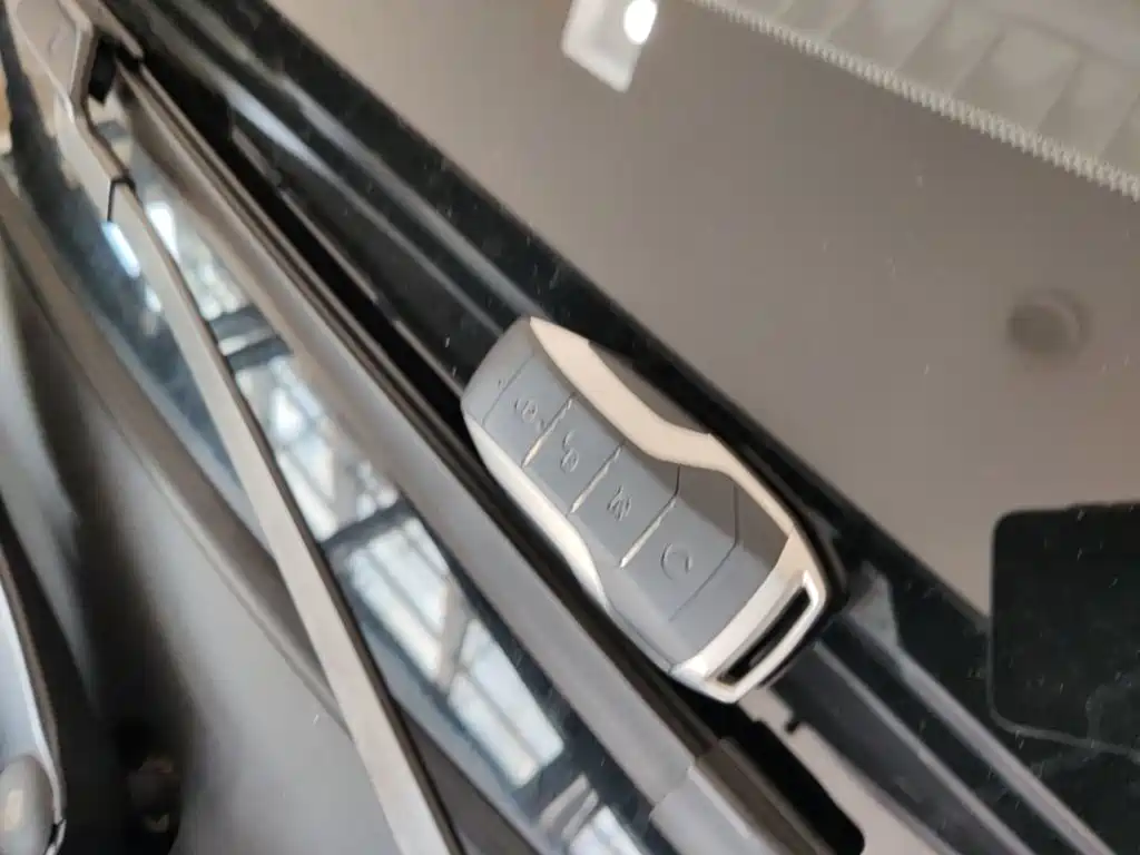 BYD Song PLUS New Energy 2021 — фото 9