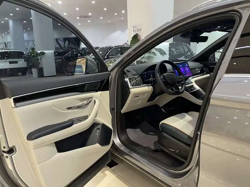 BYD PLUS New Energy 2024 — фото 19