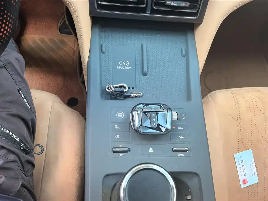 BYD L DM-i 2024 — фото 16