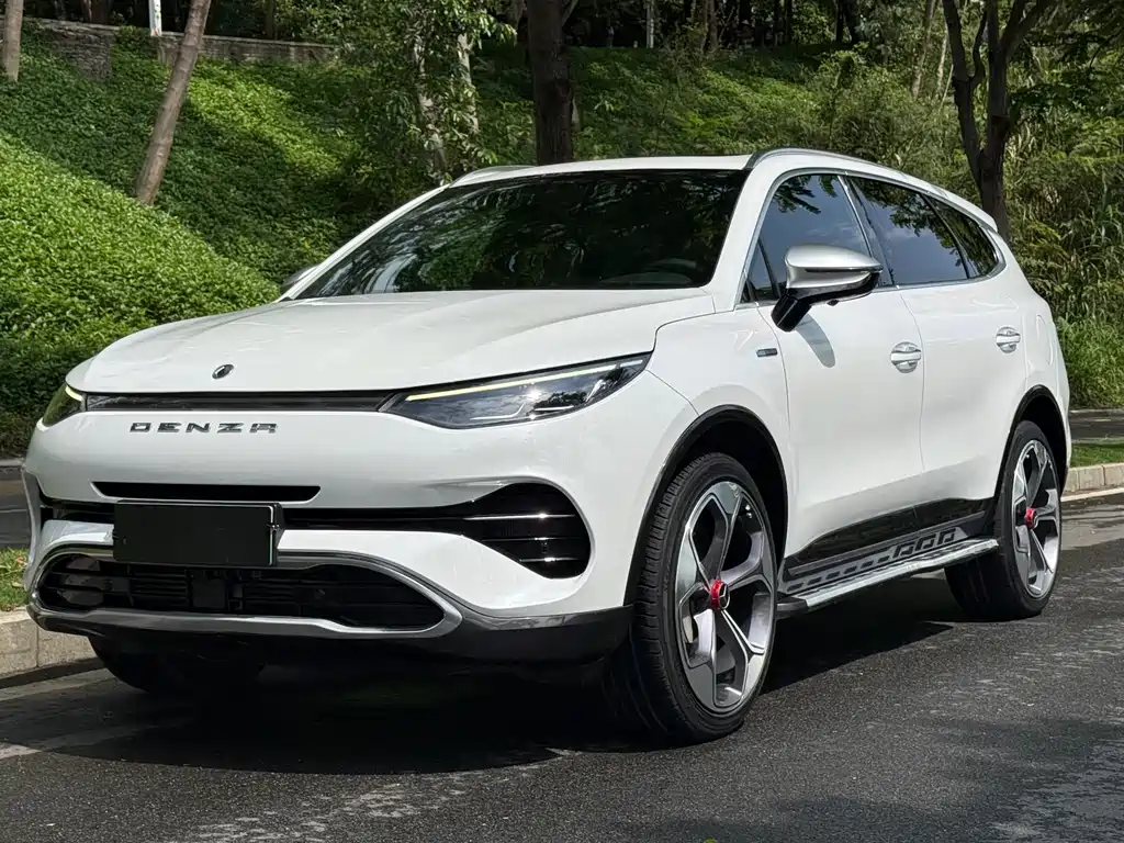 Denza X 2020