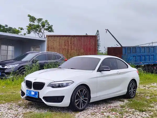 BMW 2 Series 2019