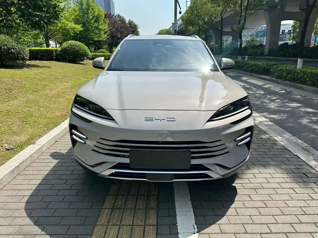 BYD PLUS New Energy 2023 — фото 2