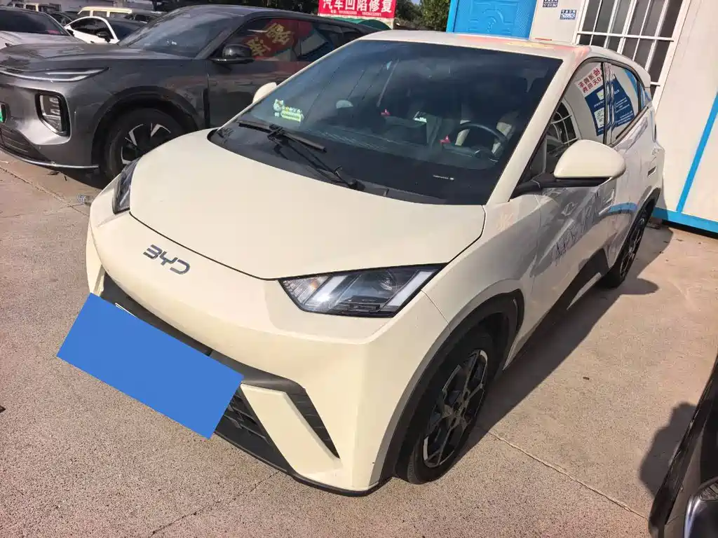 BYD Seagull 2024