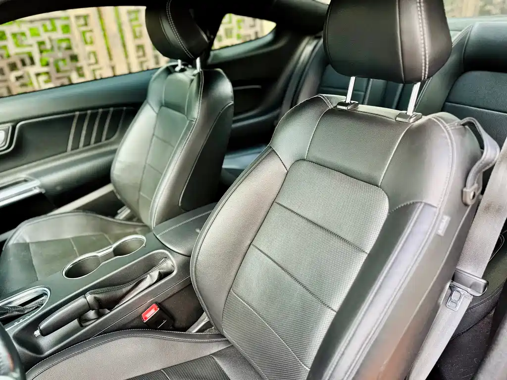 Ford Mustang 2019 — фото 19