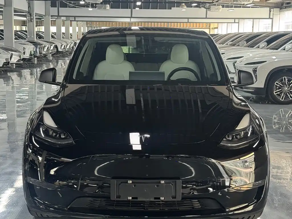 Tesla Model Y 2021 — фото 2