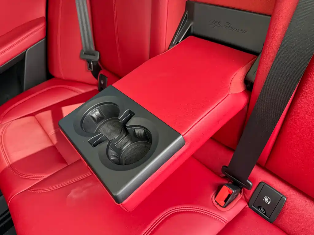 Alfa Romeo Stelvio 2019 — фото 36