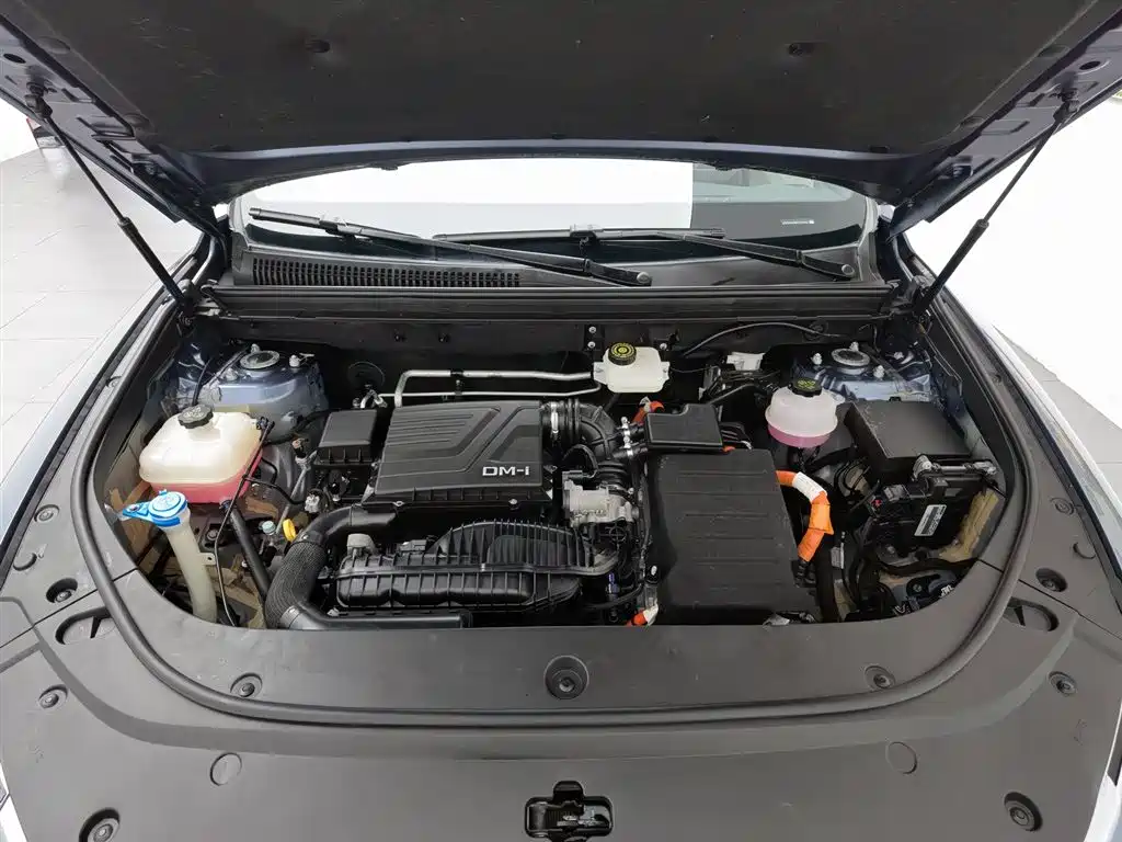 BYD Pro New Energy 2023 — фото 6