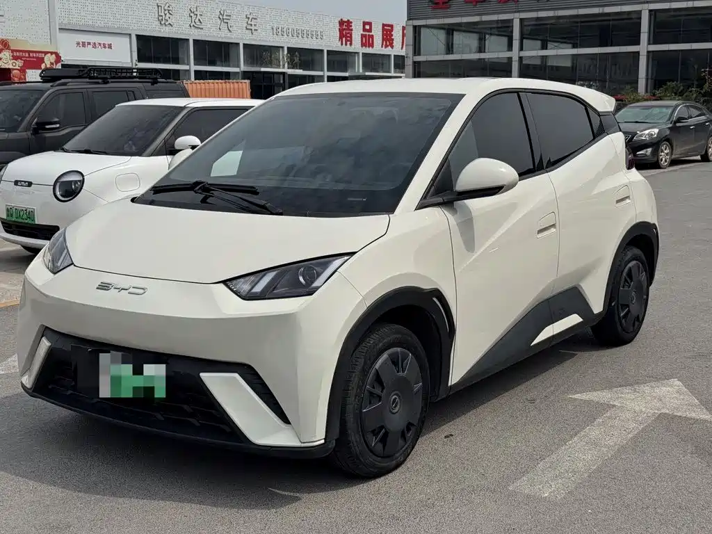 BYD Seagull 2024