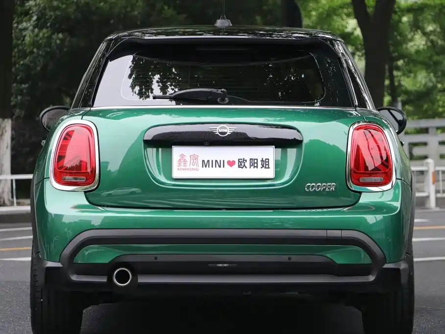 MINI MINI 2024