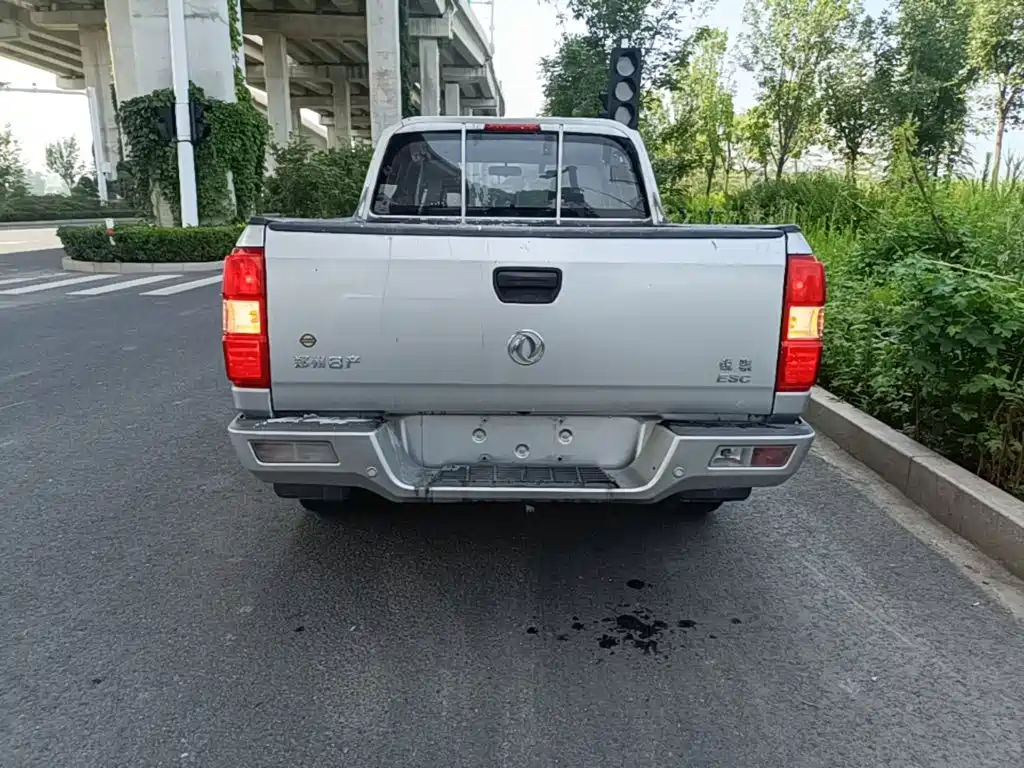 Dongfeng Ruiqi 2023