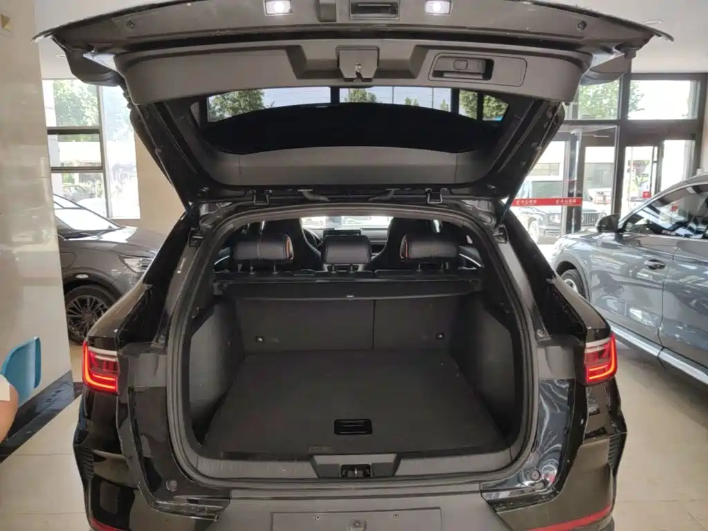 BYD Song PLUS New Energy 2021 — фото 19