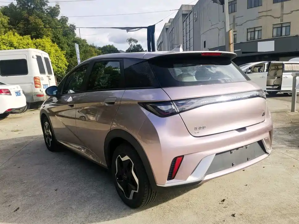 BYD Dolphin 2022