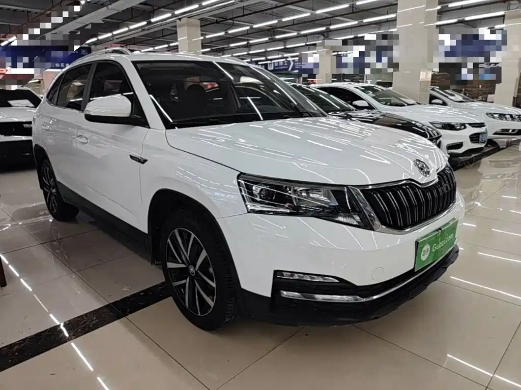 Skoda Kamiq 2019 — фото 4