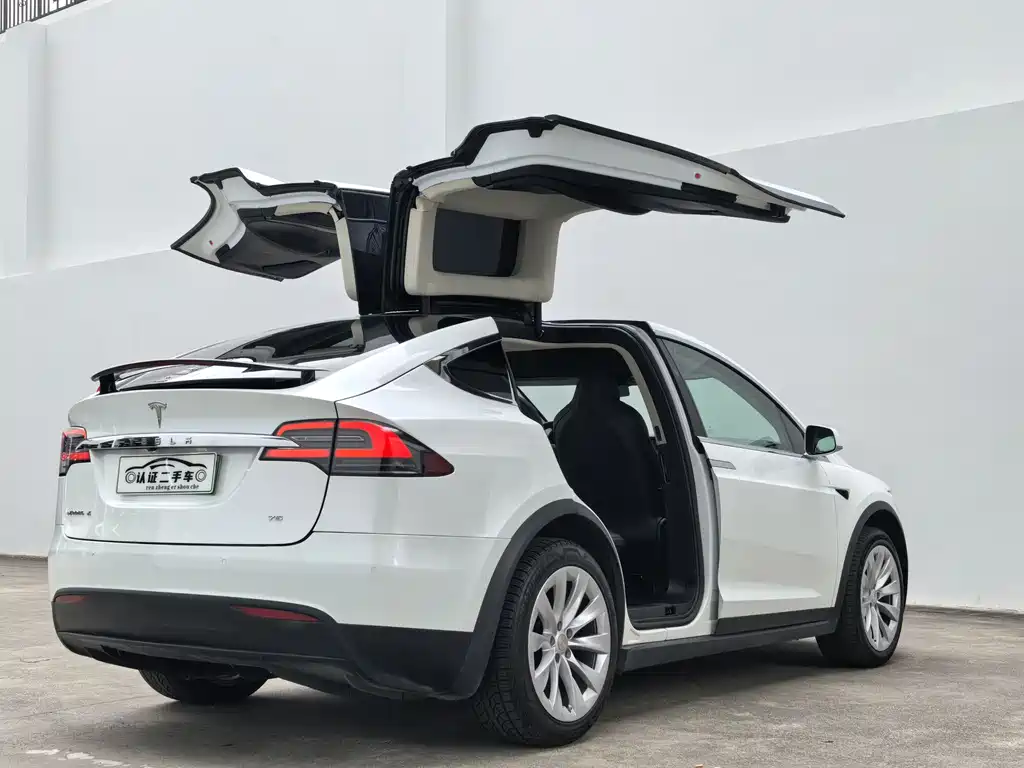 Tesla Model X 2019 — фото 12