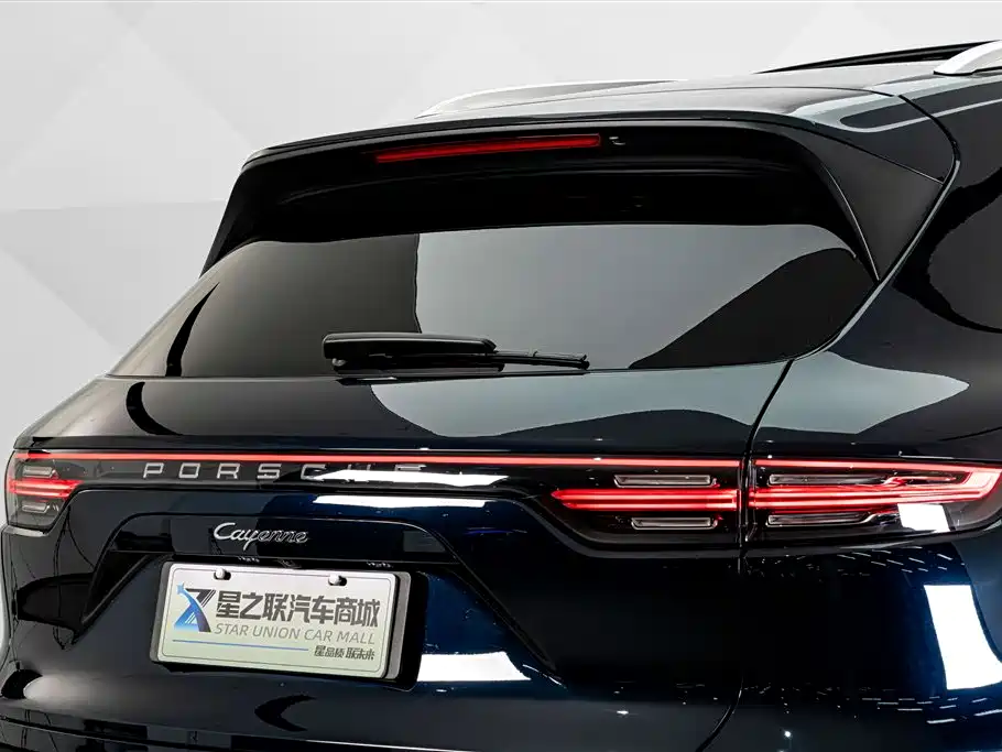 Porsche Cayenne New Energy 2021 — фото 8