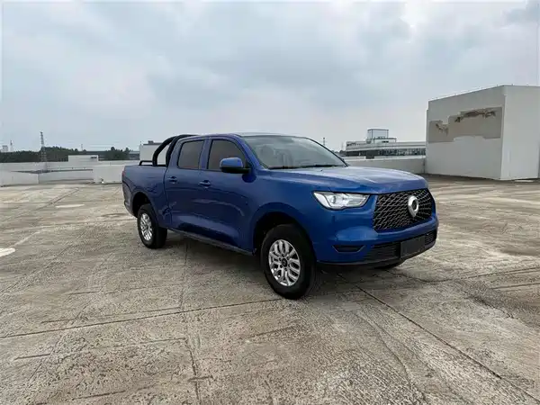 Great Wall Poer 2020