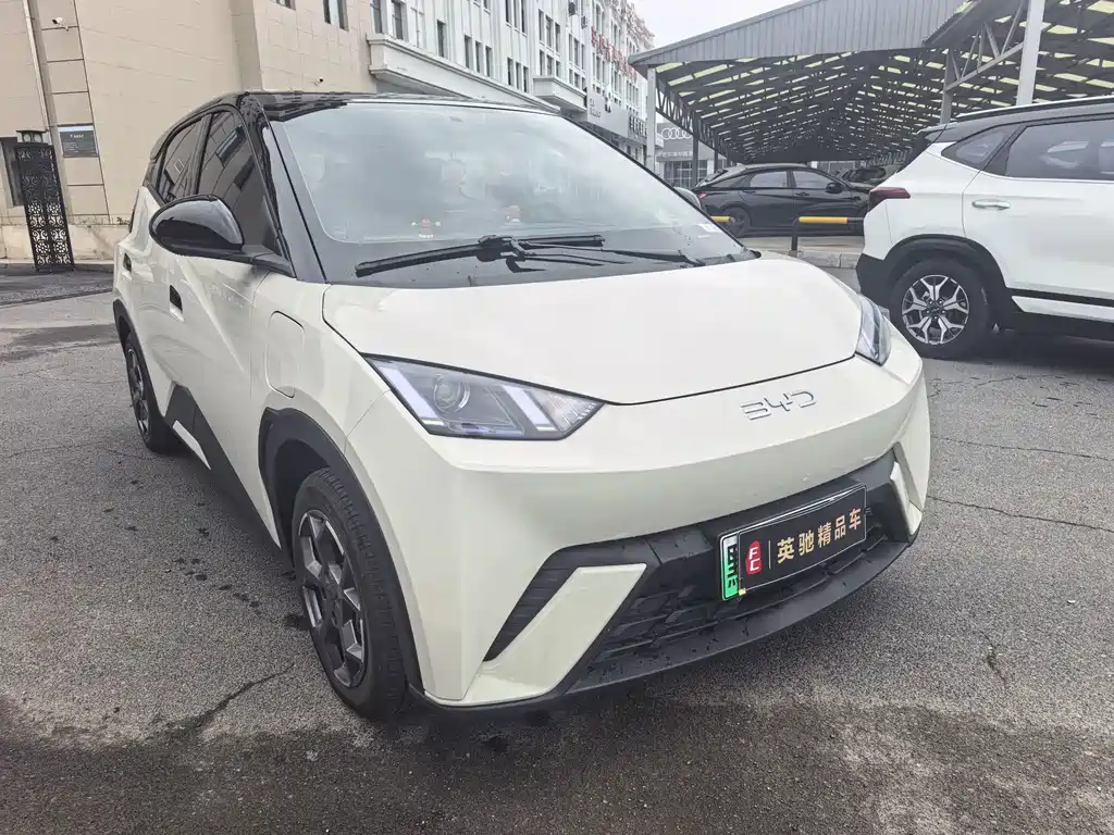 BYD Seagull 2024