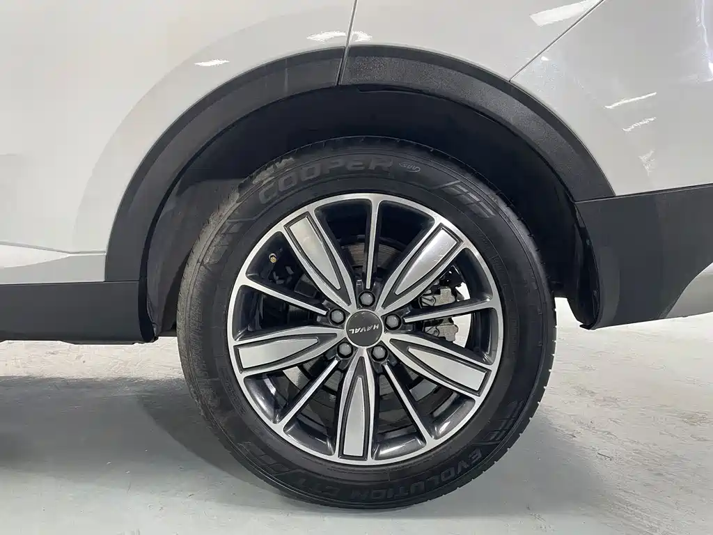 Haval H6 2021 — фото 19