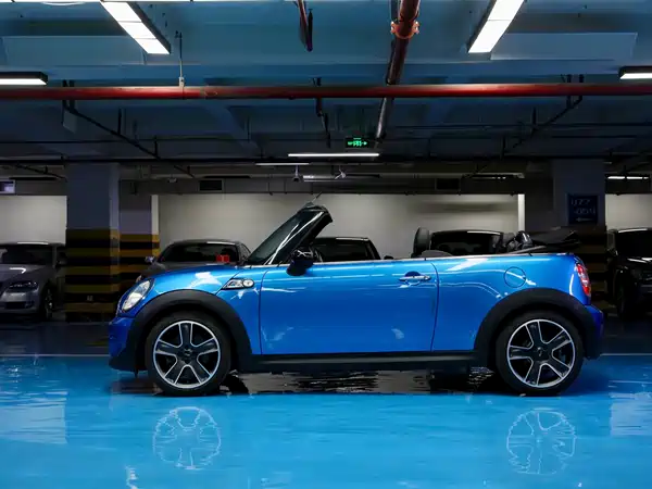 MINI MINI 2011