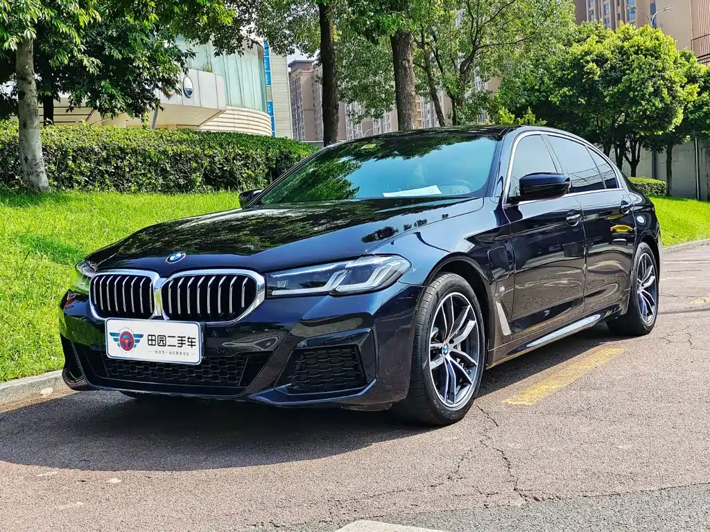 BMW 5 Series New Energy 2021 — фото 1
