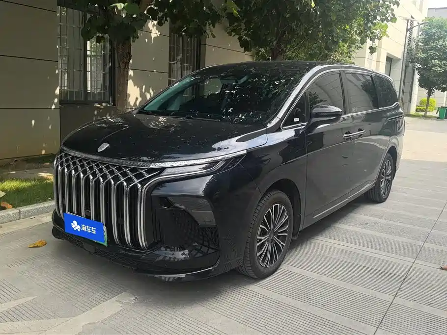 Fengxing Xinghai V9 2024