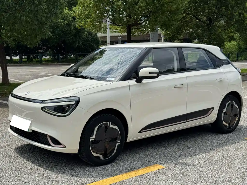 Dongfeng Nano 01 2025