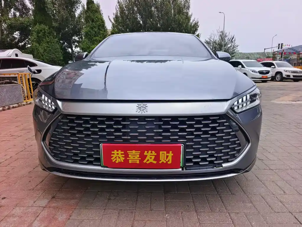 BYD Qin PLUS 2023 — фото 2
