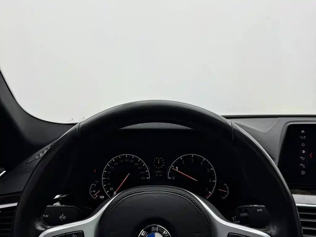 BMW 5 Series 2019 — фото 9