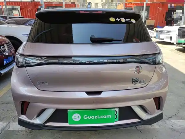 BYD Dolphin 2024