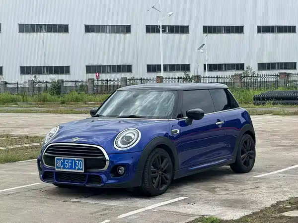 MINI MINI 2020