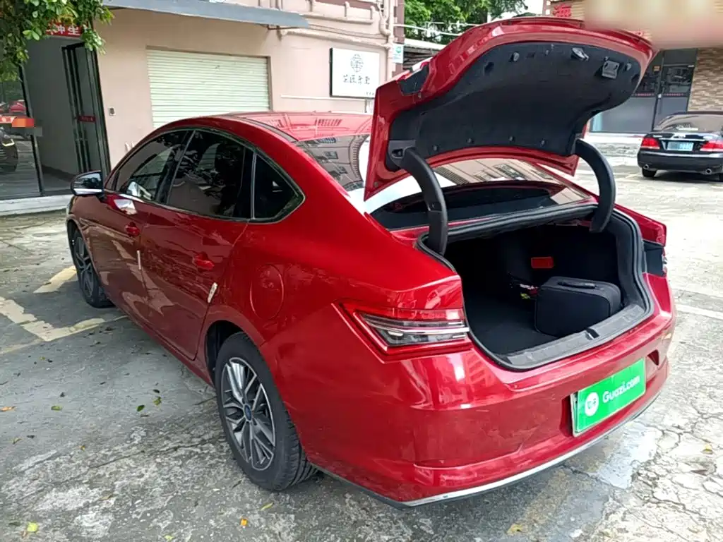 BYD Qin Pro NEV 2019 — фото 5