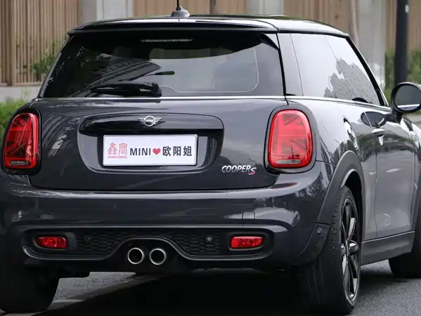 MINI MINI 2021