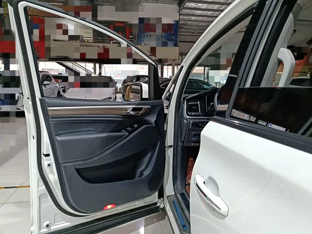 GAC Trumpchi M8 2021 — фото 13