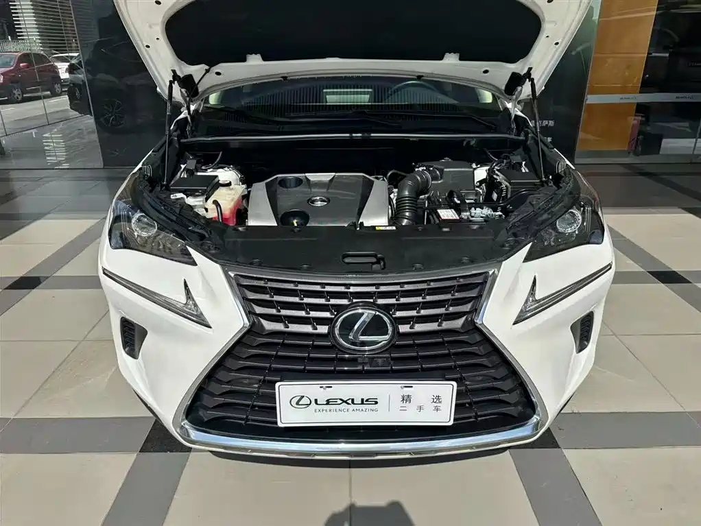 Lexus NX 2019