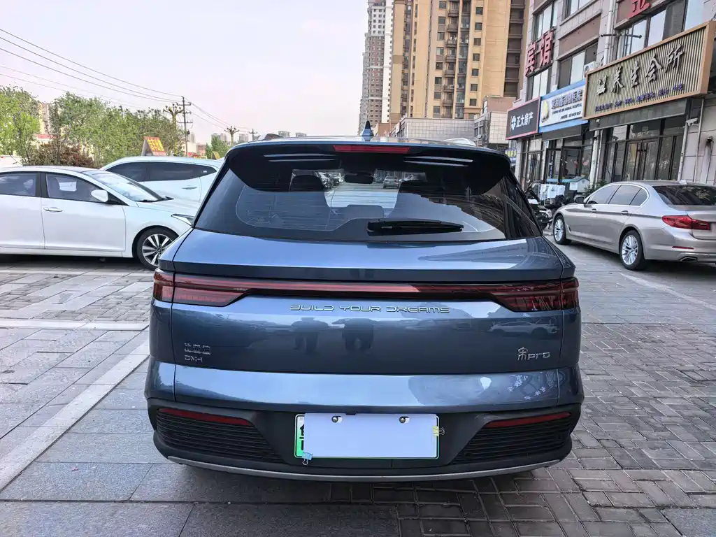 BYD Pro New Energy 2023 — фото 8