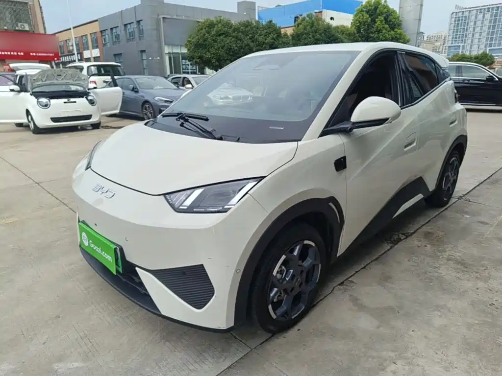 BYD Seagull 2025