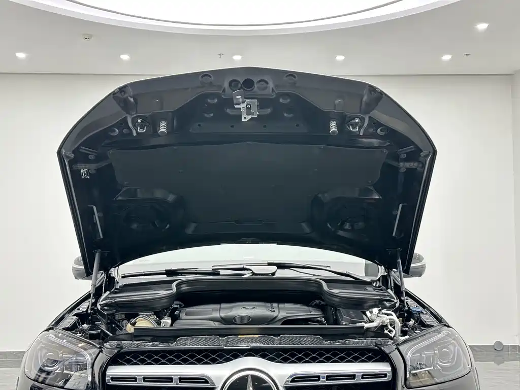 Mercedes-Benz GLS 2022 — фото 28