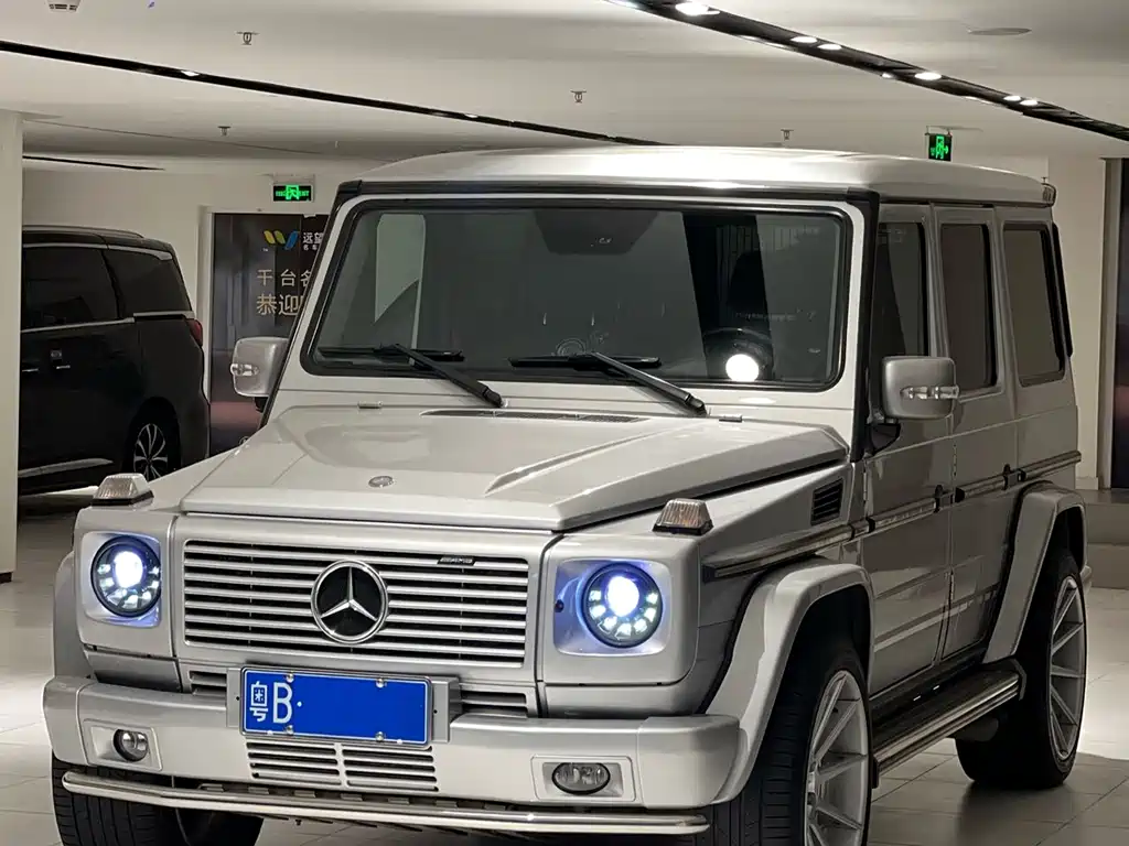 Mercedes-Benz G-Class AMG 2009 — фото 1