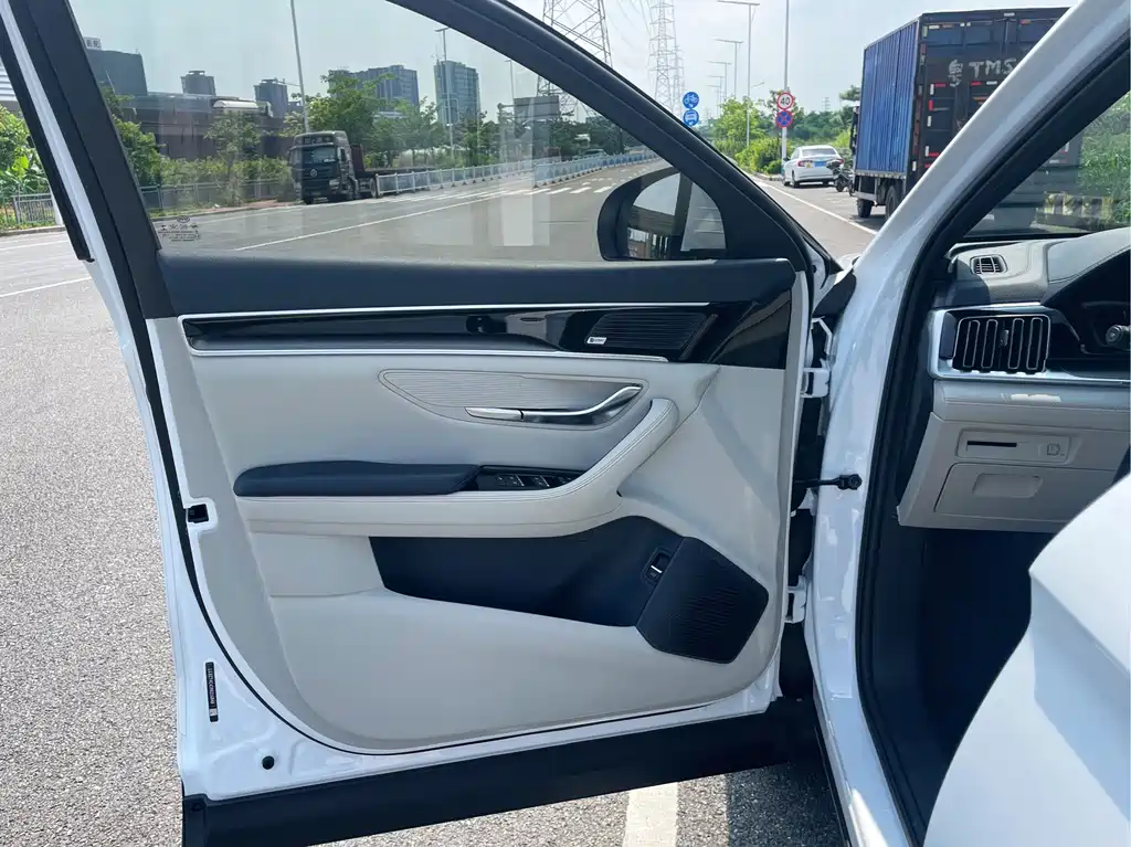 BYD Song PLUS New Energy 2022 — фото 11