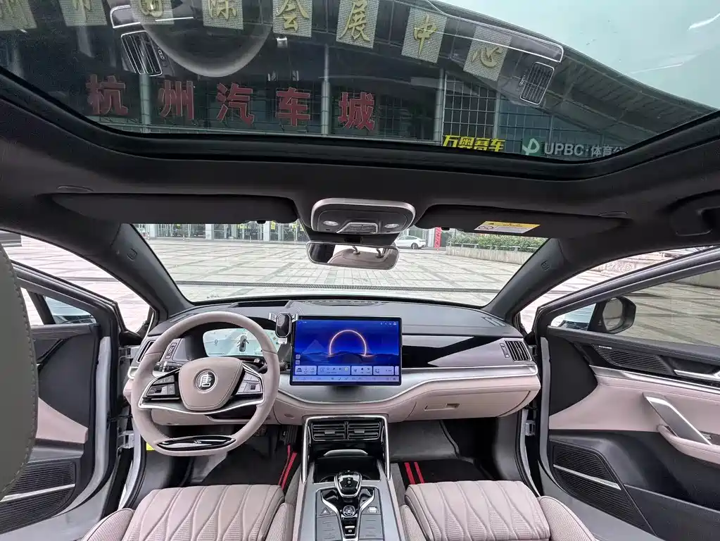 BYD Tang New Energy 2024 — фото 10