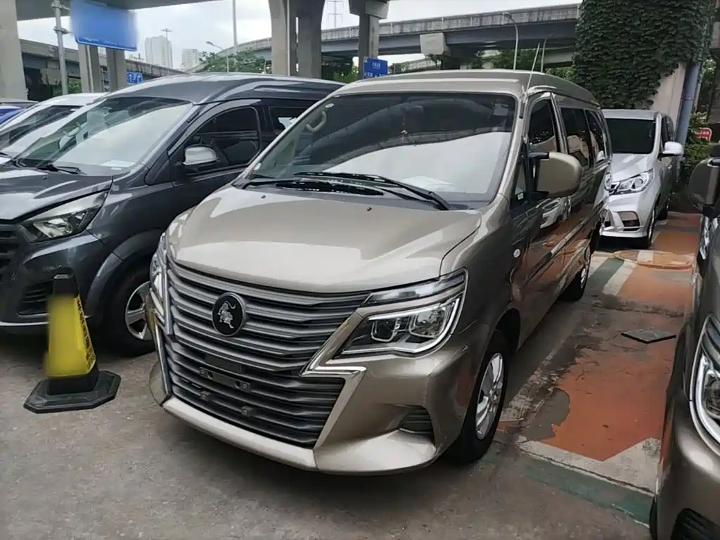Dongfeng Lingzhi 2025