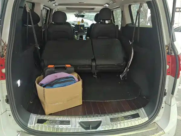 Maxus G10 2019