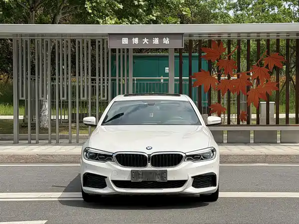 BMW 5 Series 2020