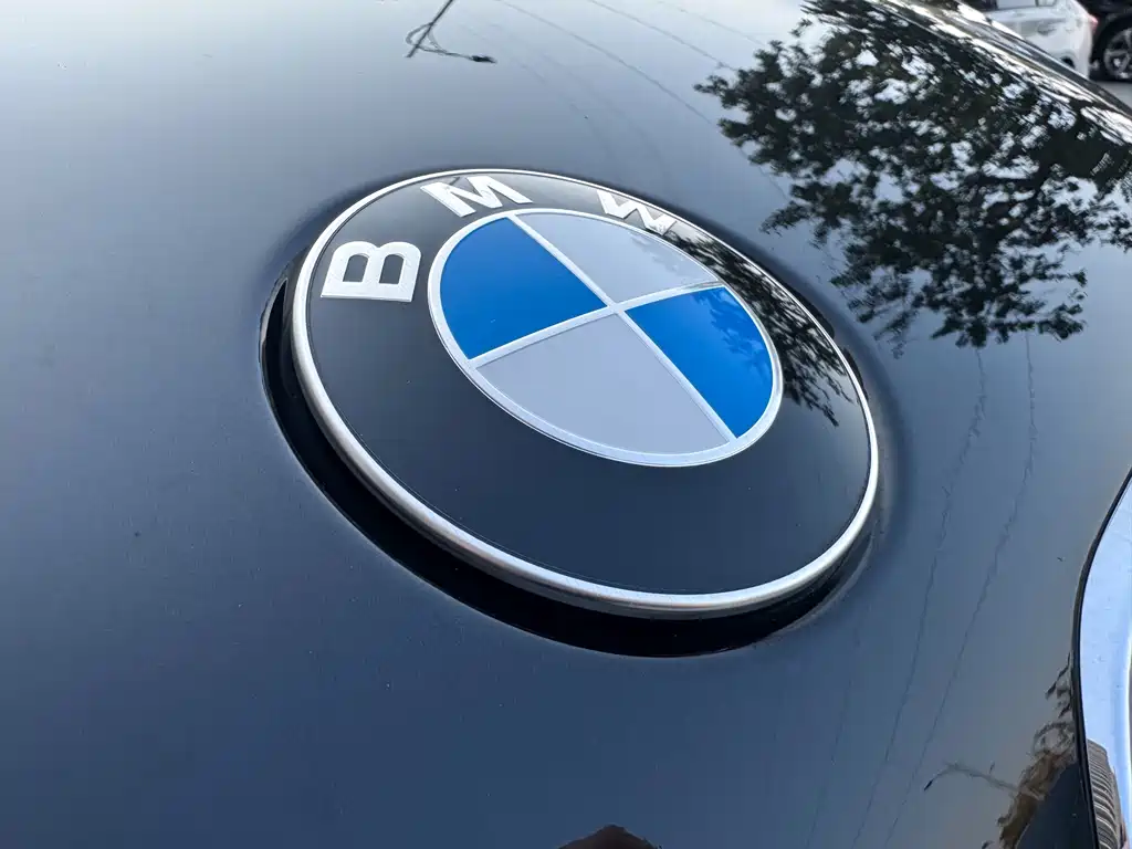BMW X7 2021 — фото 21