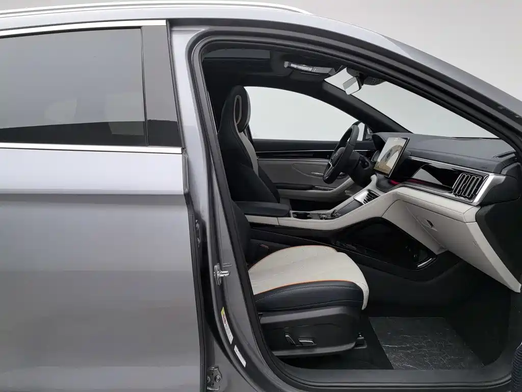 BYD Song PLUS New Energy 2024 — фото 23