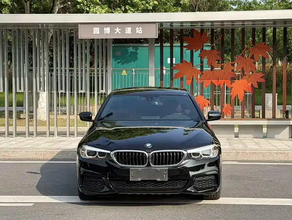 BMW 5 Series 2019
