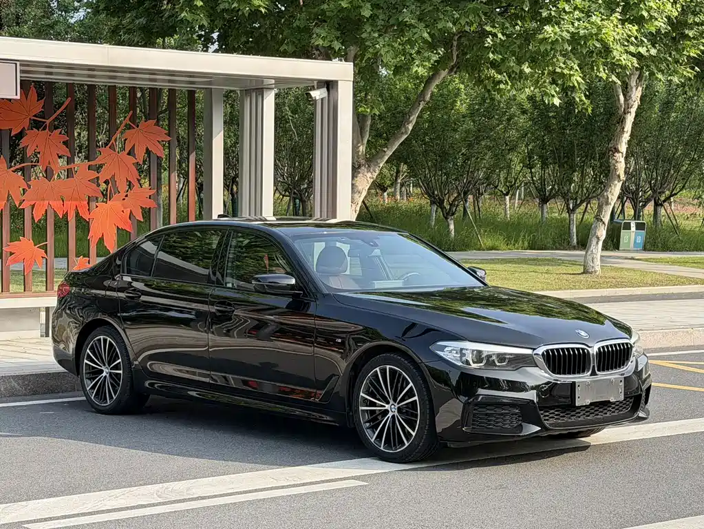 BMW 5 Series 2019 — фото 3