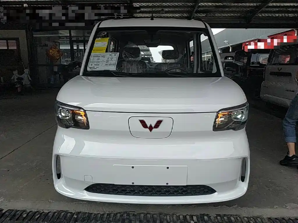 Wuling Zhiguang New Energy 2026